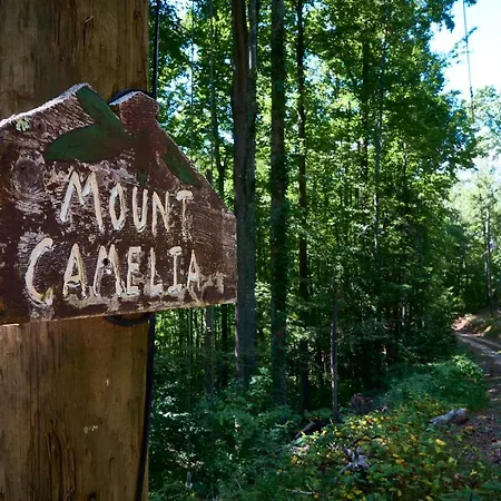 Gatlinburg Adventure Cabins Sevierville Exterior photo